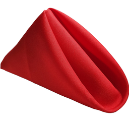 Jogo 6 Guardanapos de Boca de Pano Mesa Posta 40cm x 40cm Oxford Liso:Vermelha - 1