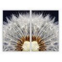 Ver imagem 1 de kit com 2 Quadros Decorativos Florais com Moldura e Vidro para Sala Quarto Escritório e Clínica 82x1