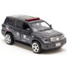 Miniatura Carro da Policia Rota Carrinho de Pulicia - 1