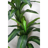 Planta Artificial de Sala Dracena com 3 Hastes Arvore Real - 3