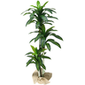 Planta Artificial de Sala Dracena com 3 Hastes Arvore Real - 1