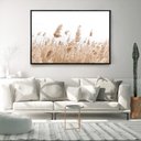 Ver imagem 3 de Quadro Decorativo Horizontal Capim Rabo de Raposa Com Moldura e Sem Vidro 40X60