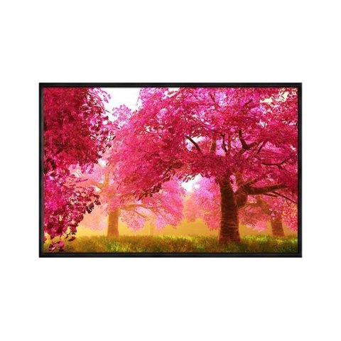Quadro Decorativo - Flores de Cerejeira Paisagem Rosa Flnt034 - Vidro com Impressão Uv - 60x40cm