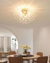 Ver imagem 5 de Lustre Plafon Cristal Flor Dente de Leão 50cm para Sala Estar Jantar e Quarto: Dourado