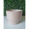 Vaso De Flor P/ Suculenta Branilite P - 2