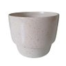 Vaso De Flor P/ Suculenta Branilite P - 1