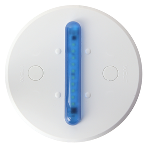 EcoLight Luminária Econômica - Base Branca Azul - 220V