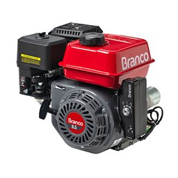 Motor B4t 8.5hp - P.m - 1
