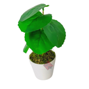 Ver imagem 2 de Arranjo de Planta Artificial em Vaso de Plástico Modelo:Planta Cipó de Uva
