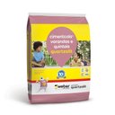 Ver imagem 1 de Argamassa Cimentcola Varandas e Quintais Acii Cinza 20kg - Quartzolit