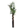 Floreira Artesanal de Bambu 70cm - 2