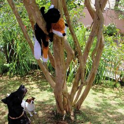 Brinquedo Gambá de Pelúcia para Cães Pp174 Preto e Branco - 2 Brinquedo Gambá de Pelúcia para Cães Pp174 Preto e Branco - 2