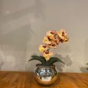 Ver imagem 3 de Orquídea Tigre Rosa Artificial Arranjo No Vaso Espelhado