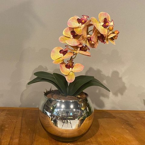 Orquídea Tigre Rosa Artificial Arranjo No Vaso Espelhado