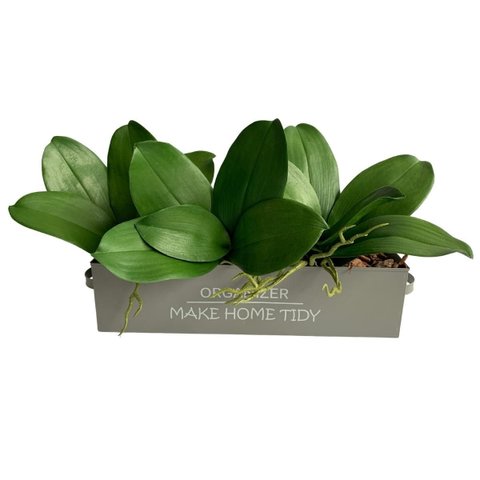 3 Folhas Ornamentais de Orquídea Artificial em Silicone Toque Real com Raiz 25cm Premium