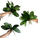 Ver imagem 6 de 3 Folhas Ornamentais de Orquídea Artificial em Silicone Toque Real com Raiz 25cm Premium