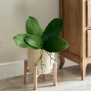 Ver mais imagens de 3 Folhas Ornamentais de Orquídea Artificial em Silicone Toque Real com Raiz 25cm Premium