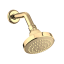 Ver imagem 1 de Ducha Fria Lorenzetti Flatt 7001 F16 – Parede:dourado Brilho