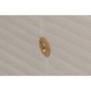 Ver imagem 3 de Colchão King P- Hotelaria Molas Nanolastic Orthotel Super Luxo Pillow (186x198x30) - Ortobom