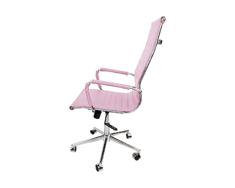 Cadeira Esteirinha Presidente Moderna Rosa D821 4b I Bering - 2