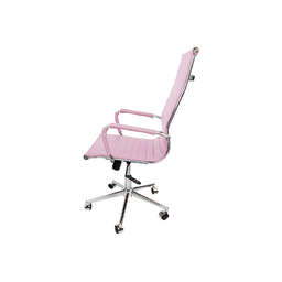 Cadeira Esteirinha Presidente Moderna Rosa D821 4b I Bering - 2