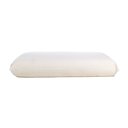 Ver imagem 1 de Travesseiro Nasa Visco Perfil Baixo 9 Cm Ultrafresh com Capa Antialergico