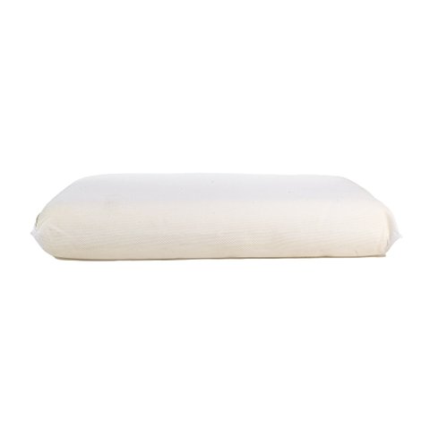 Travesseiro Nasa Visco Perfil Baixo 9 Cm Ultrafresh com Capa Antialergico