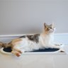 Arranhador Gato Piso Parede Modelo Frajola Grande - Branco - Azul - 5