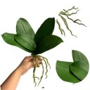 Ver imagem 3 de 6 Folhagens de Orquídea Artificial Silicone Alta Qualidade Toque Real com Raiz Verde 25cm