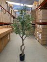 Ver imagem 7 de Planta Oliveira Artificial para Sala Real Toque com 1.80m