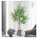 Ver imagem 1 de Planta Oliveira Artificial para Sala Real Toque com 1.80m