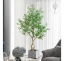 Ver imagem 1 de Planta Oliveira Artificial para Sala Real Toque com 1.80m