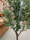 Ver imagem 4 de Planta Oliveira Artificial para Sala Real Toque com 1.80m