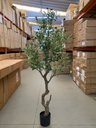 Ver imagem 6 de Planta Oliveira Artificial para Sala Real Toque com 1.80m
