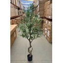 Ver imagem 3 de Planta Oliveira Artificial para Sala Real Toque com 1.80m