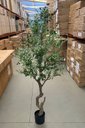 Ver imagem 3 de Planta Oliveira Artificial para Sala Real Toque com 1.80m