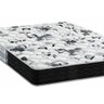 Colchão Solteiro Probel Espuma D23 ProDormir Advanced Black (88x188x12) -  - 3