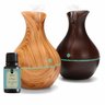 Kit Aromatizador Elétrico + Essência Escolha Cor e Essência:bamboo/madeira Clara - 1