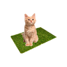 Sanitario higienico de cães e gatos grama sintetica lavavel - 5