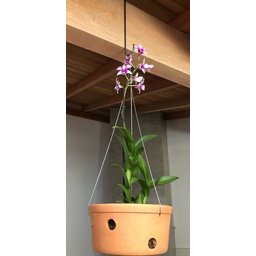 Vaso Furado de Cerâmica 26cm P/ Pendurar Orquídea Grande - 6
