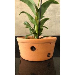 Vaso Furado de Cerâmica 26cm P/ Pendurar Orquídea Grande - 2