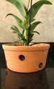 Ver imagem 2 de Vaso Furado de Cerâmica 26cm P/ Pendurar Orquídea Grande