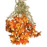 Haste De Flor Artificial Asteraceae Laranja 72 Cm - 4