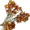 Ver imagem 3 de Haste de Flor Artificial Asteraceae Laranja 72 Cm