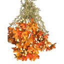 Ver imagem 4 de Haste de Flor Artificial Asteraceae Laranja 72 Cm