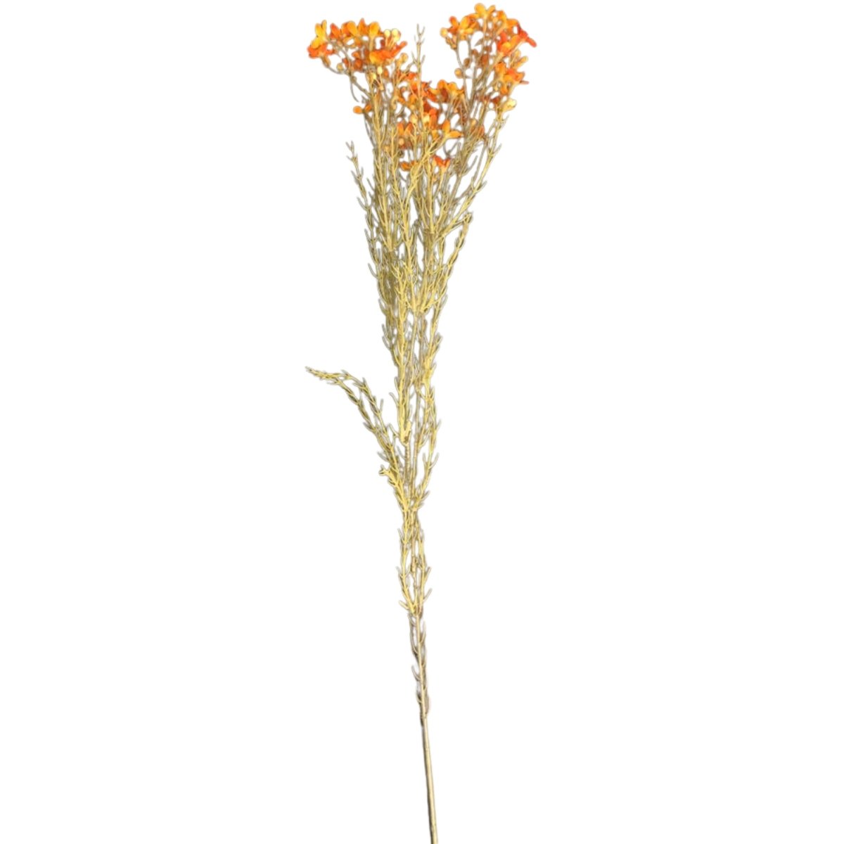 Haste De Flor Artificial Asteraceae Laranja 72 Cm - 6