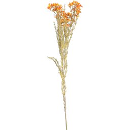 Haste De Flor Artificial Asteraceae Laranja 72 Cm - 6