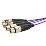 Multicabos com Conectores Xlr 4 Vias - Amphenol 5 Metros - 6