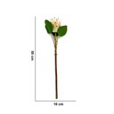 Ver imagem 4 de Haste de Flor Artificial Protea Frosted com Coat Salmão 50 Cm F04 - D’Rossi