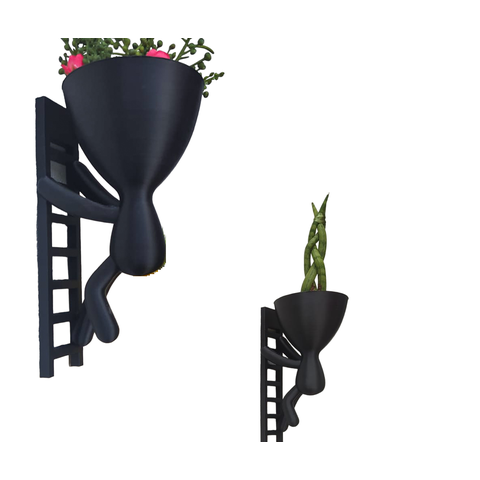 Kit 2 Vasos Suculentas Parede Robert Plant Escada Lançamento